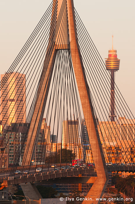 australia stock photography | Anzac Bridge and Sydney Tower at Sunset, Glebe, Sydney, NSW, Australia, Image ID AU-SYDNEY-ANZAC-BRIDGE-0007