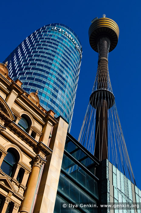 australia stock photography | Sydney Tower from Pitt Street Mall, Sydney, NSW, Australia, Image ID AU-SYDNEY-0008