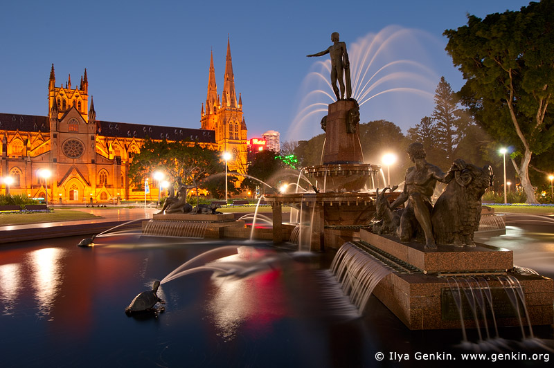 australia stock photography | Archibald Fountain at Night, Hyde Park, Sydney, NSW, Australia, Image ID AU-SYDNEY-HYDE-PARK-0003