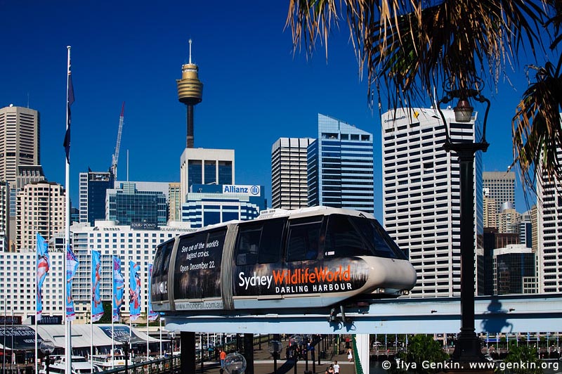 australia stock photography | Sydney City and Monorail, Darling Harbour, Sydney, New South Wales (NSW), Australia, Image ID AU-SYDNEY-MONORAIL-0005