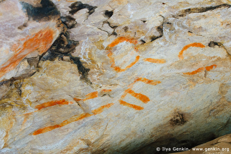 australia stock photography | Aboriginal Rock Art Paintings at Gulgurn Manja Shelter, Grampians National Park, Victoria (VIC), Australia, Image ID GULGURN-MANJA-SHELTER-0003