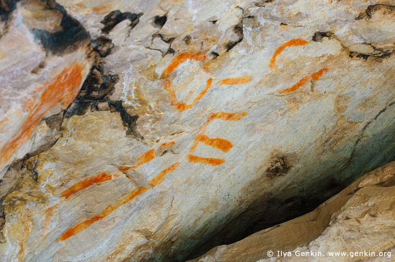 australia stock photography | Aboriginal Rock Art Paintings at Gulgurn Manja Shelter, Grampians National Park, Victoria (VIC), Australia, Image ID GULGURN-MANJA-SHELTER-0005