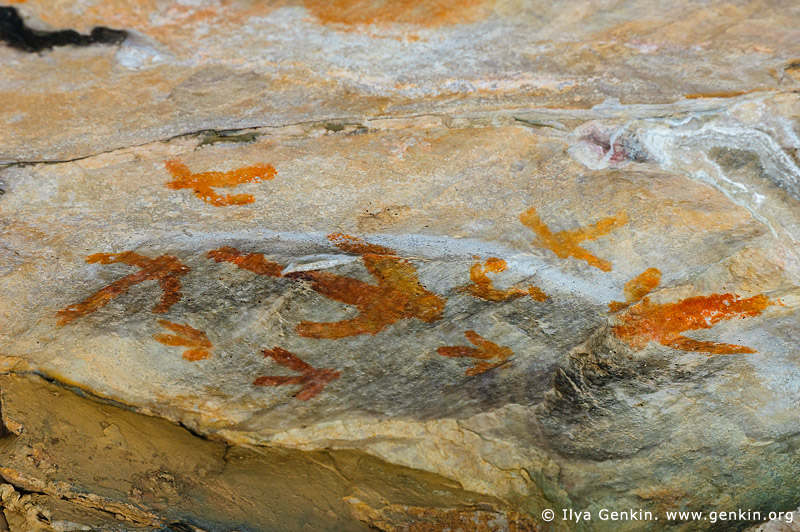 australia stock photography | Aboriginal Rock Art Paintings at Gulgurn Manja Shelter, Grampians National Park, Victoria (VIC), Australia, Image ID GULGURN-MANJA-SHELTER-0006
