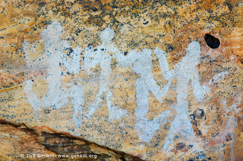 australia stock photography | Aboriginal Rock Art Paintings at Ngamadjidj Shelter, Grampians National Park, Victoria (VIC), Australia, Image ID NGAMADJIDI-SHELTER-0004