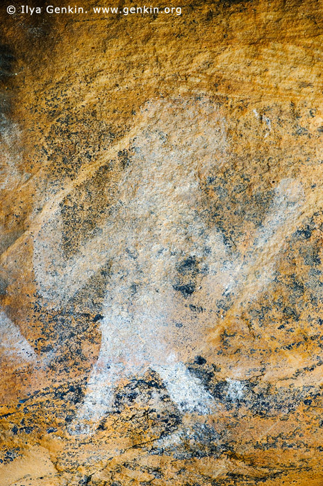 australia stock photography | Aboriginal Rock Art Paintings at Ngamadjidj Shelter, Grampians National Park, Victoria (VIC), Australia, Image ID NGAMADJIDI-SHELTER-0005