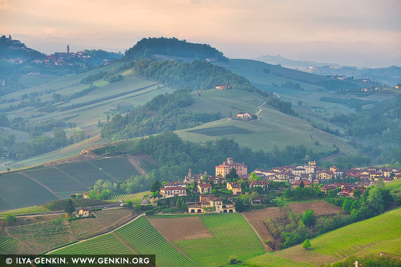 italy stock photography | Hills of Barolo in the Morning, Cuneo, Piedmont, Italy, Image ID ITALY-PIEDMONT-0003