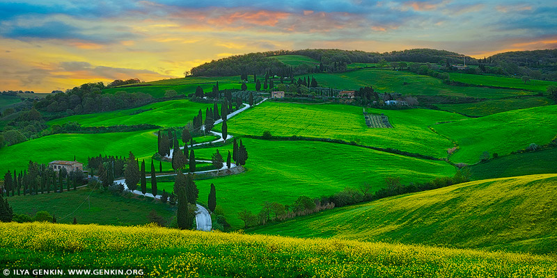 italy stock photography | Cipressi di Monticchiello at Sunrise, Monticchiello, Val d'Orcia, Tuscany, Italy, Image ID ITALY-TUSCANY-0004
