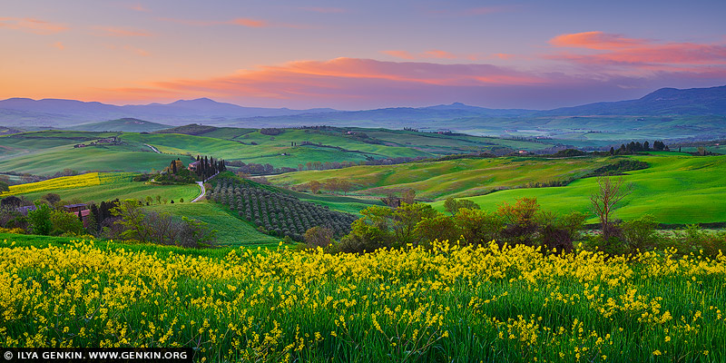 italy stock photography | Early Morning at Val d'Orcia near Podere Belvedere, Pienza, Val d'Orcia, Tuscany, Italy, Image ID ITALY-TUSCANY-0005