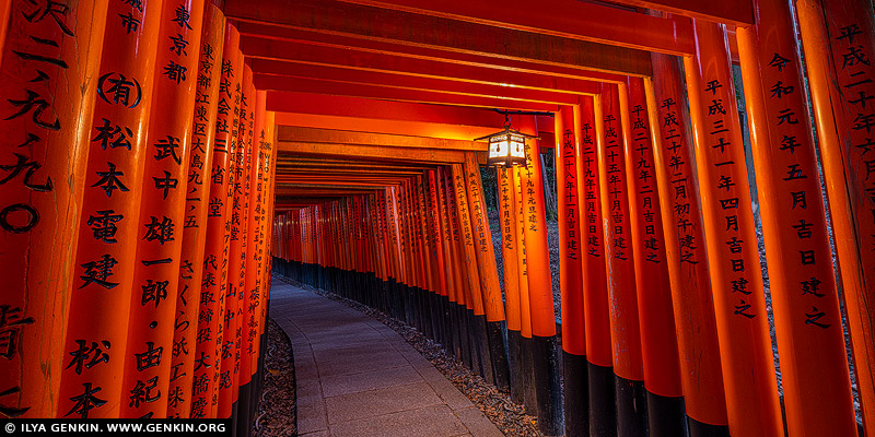 japan stock photography | Early Morning at Red Torii Gates of Fushimi Inari Shrine, Kyoto, Kansai, Honshu, Japan, Image ID JAPAN-FUSHIMI-INARI-0001