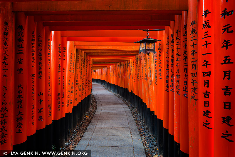 japan stock photography | Ten Thousands of Red Torii Gates at Fushimi Inari Shrine, Kyoto, Kansai, Honshu, Japan, Image ID JAPAN-FUSHIMI-INARI-0002