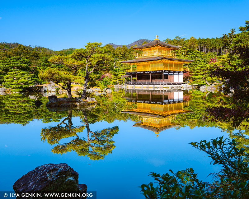 japan stock photography | Kinkakuji - Golden Pavilion, Kyoto, Kansai, Honshu, Japan, Image ID JAPAN-KYOTO-GOLDEN-PAVILION-0002