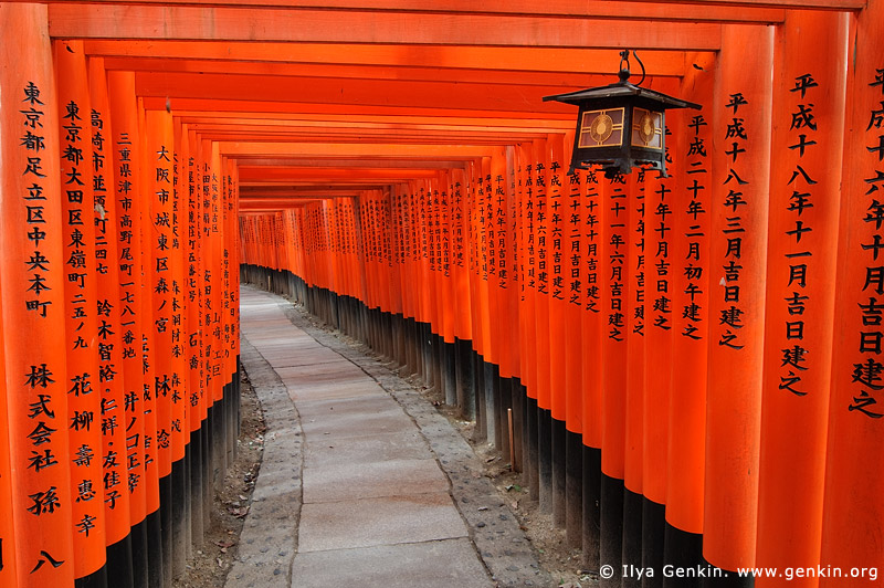 japan stock photography | Ten Thousands of Red Gates (Torii) are in Fushimi Inari Shrine, Kyoto, Kansai, Honshu, Japan, Image ID JP-FUSHIMI-INARI-0001