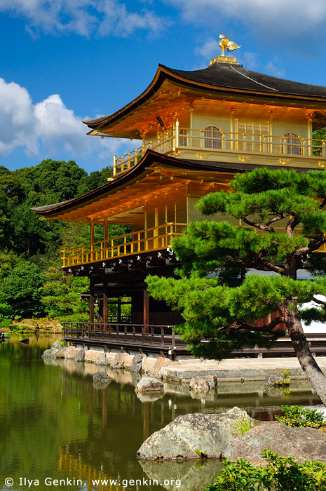 japan stock photography | Golden Pavilion, Kyoto, Kansai, Honshu, Japan, Image ID JP-KYOTO-GOLDEN-PAVILION-0001