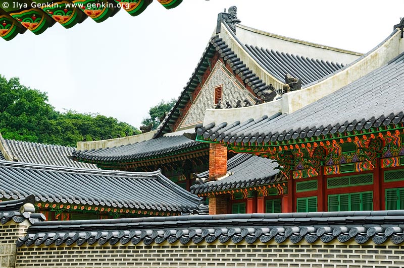 korea stock photography | Roofs at Changdeokgung Palace in Seoul, South Korea, Jongno-gu, Seoul, South Korea, Image ID KR-SEOUL-CHANGDEOKGUNG-0008