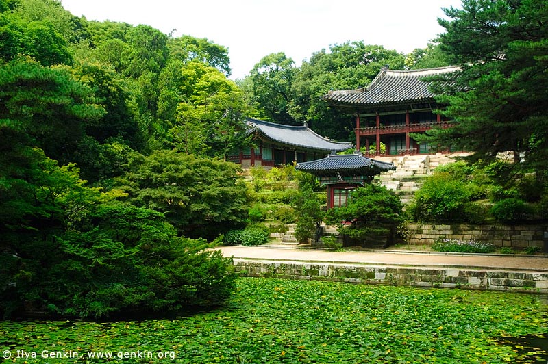 korea stock photography | Juhamnu Pavilion at Changdeokgung Palace in Seoul, South Korea, Jongno-gu, Seoul, South Korea, Image ID KR-SEOUL-CHANGDEOKGUNG-0015