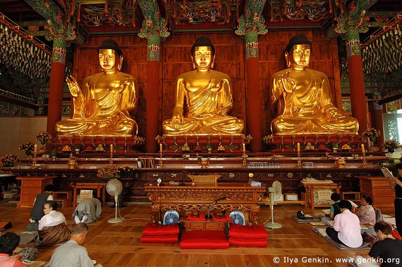 korea stock photography | In Prayer for Buddha Inside Jogyesa Temple in Seoul, South Korea, Gyeonji-dong, Jongno-gu, Seoul, South Korea, Image ID KR-SEOUL-JOGYESA-0006