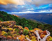Barrington Tops National Park, NSW, Australia Stock Photography and Travel Images
