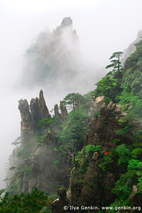 landscapes stock photography | Huangshan Mountains in Clouds, Huangshan (Yellow Mountains), China, Image ID CHINA-HUANGSHAN-0003