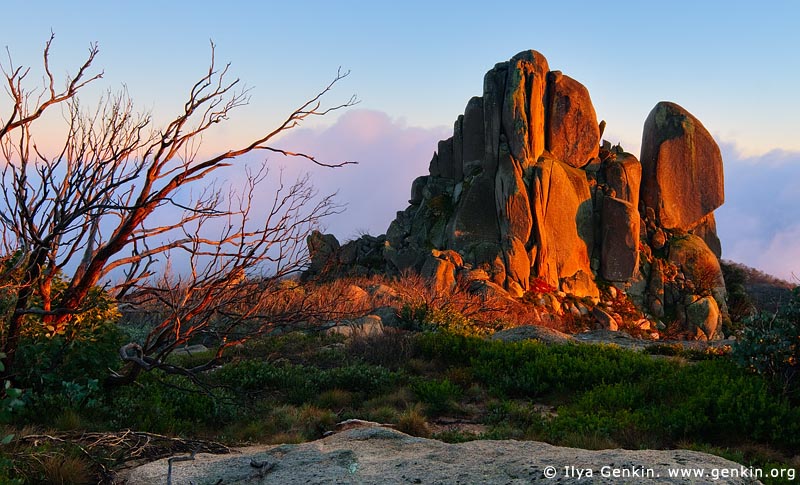 landscapes stock photography | The Cathedral at Sunrise, Mount Buffalo National Park, Australian Alps, Victoria, Australia, Image ID MOUNT-BUFFALO-VIC-0001