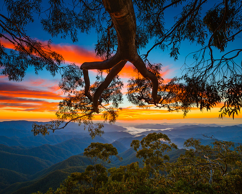 landscapes stock photography | Sunrise at Point Lookout, New England National Park, NSW, Australia, Image ID AU-NEW-ENGLAND-POINT-LOOKOUT-0001