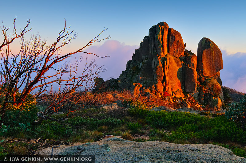 landscapes stock photography | The Cathedral Rock at Sunrise, Mount Buffalo National Park, Australian Alps, VIC, Australia, Image ID AU-MOUNT-BUFFALO-0003