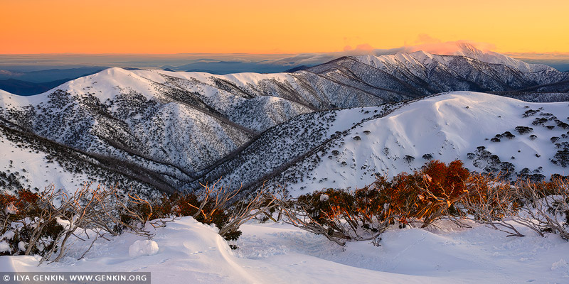 landscapes stock photography | Mt Feathertop and The Razorback in Winter, Mount Hotham, Alpine National Park, Victoria, Australia, Image ID AU-MOUNT-HOTHAM-0002