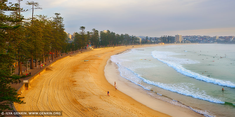 landscapes stock photography | Manly Beach at Sunrise, Manly, Sydney, NSW, Australia, Image ID AU-MANLY-BEACH-0005