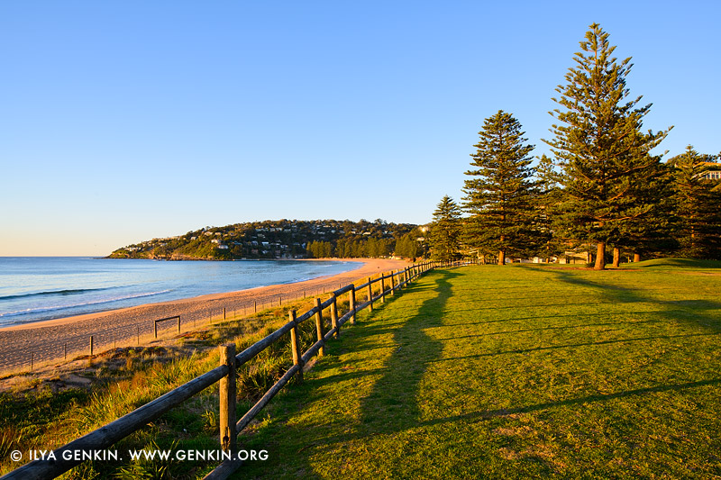 landscapes stock photography | Early Morning at Palm Beach, Palm Beach, Sydney, NSW, Australia, Image ID PALM-BEACH-BARRENJOEY-0005