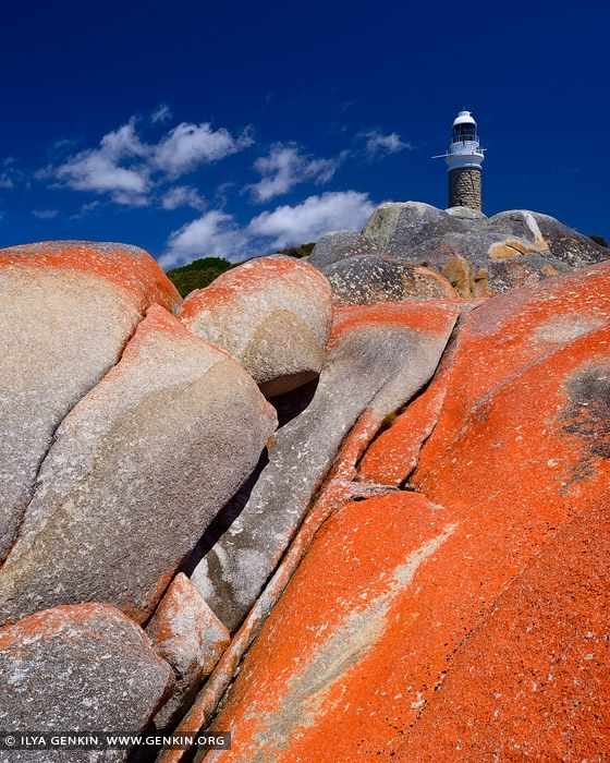 landscapes stock photography | Eddystone Point Lighthouse #2, Mount William National Park, Tasmania (TAS), Australia, Image ID TAS-EDDYSTONE-POINT-LIGHTHOUSE-0002