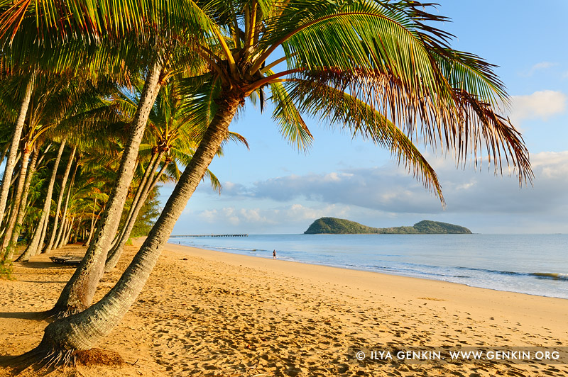 landscapes stock photography | Palm Cove at Early Morning, Cairns, Queensland (QLD), Australia, Image ID PALM-COVE-QLD-AU-0005