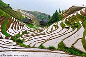 Longsheng (Longji) Rice Terraces, China Stock Photography and Travel Images