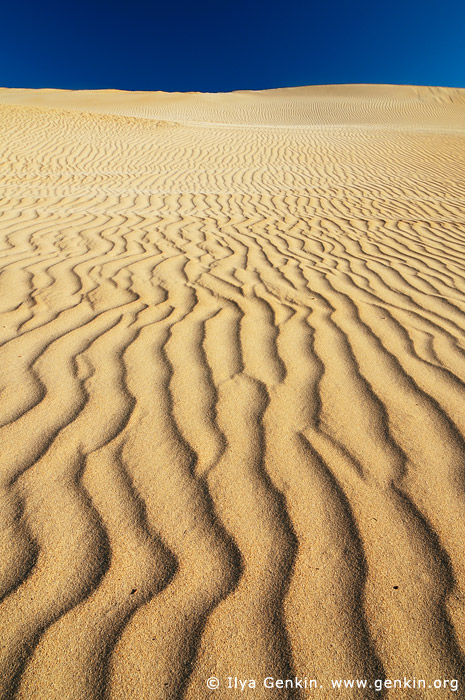 landscapes stock photography | Patterns on Sand Dunes, Gunyah Beach, Coffin Bay National Park, South Australia (SA), Australia, Image ID GUNYAH-DUNES-COFFIN-BAY-0002