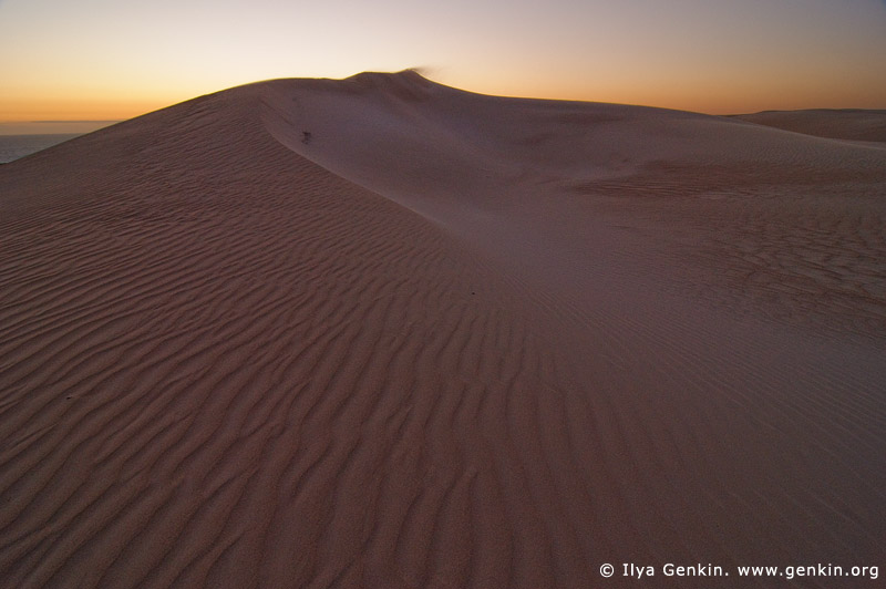 landscapes stock photography | Gunyah Beach Sand Dunes at Twilight, Coffin Bay National Park, South Australia (SA), Australia, Image ID GUNYAH-DUNES-COFFIN-BAY-0003