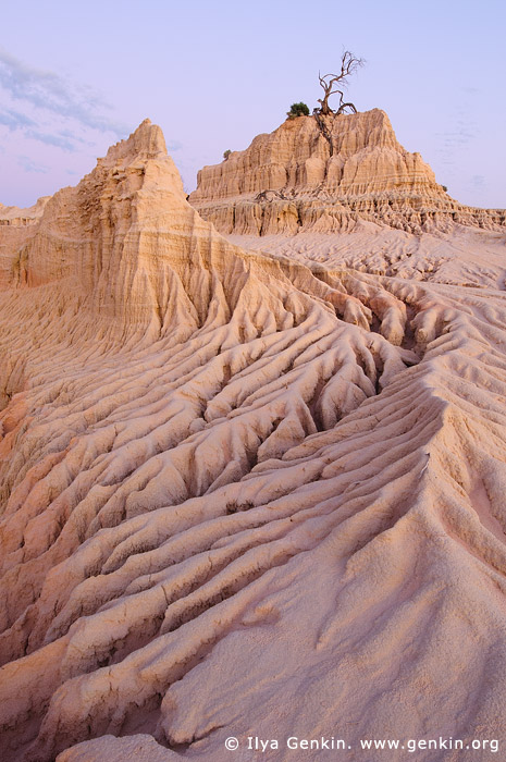 landscapes stock photography | Dusk at The Walls of China, Mungo National Park, NSW, Australia, Image ID AU-MUNGO-0013