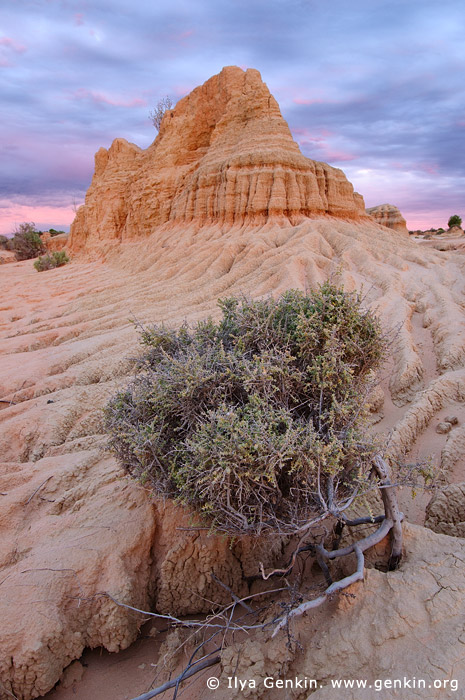 landscapes stock photography | Twilight at The Walls of China, Mungo National Park, NSW, Australia, Image ID AU-MUNGO-0016