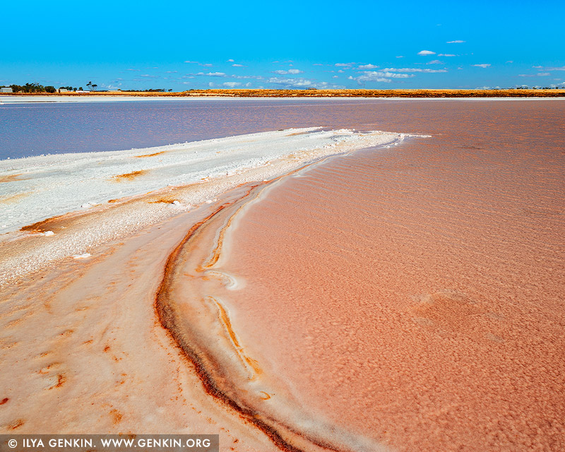 landscapes stock photography | Lake Grace, Eastern Wheatbelt, Western Australia (WA), Australia, Image ID AU-LAKE-GRACE-WA-0001