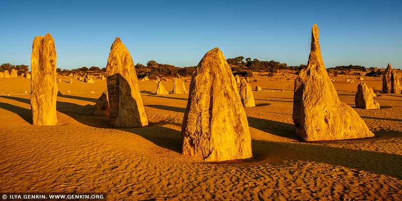 The Pinnacles Desert at Sunset, Nambung National Park, Western Australia, Australia