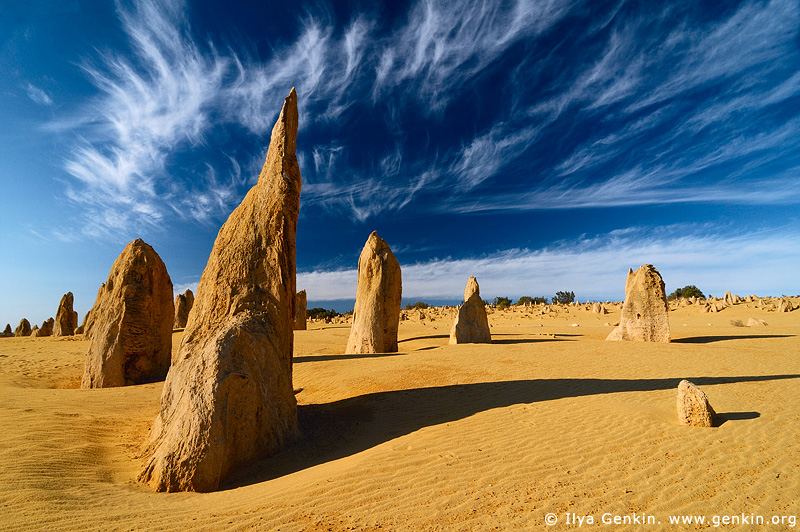 The Pinnacles Desert, Nambung National Park, Western Australia, Australia