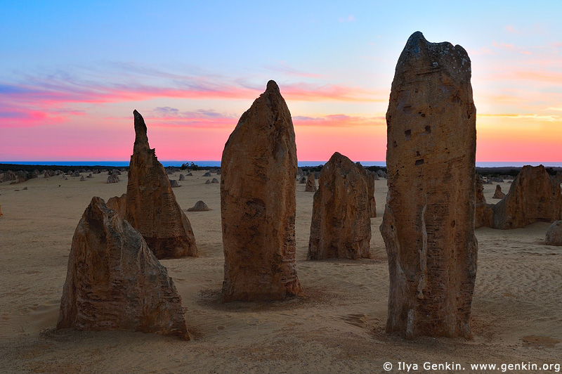 landscapes stock photography | The Pinnacles, Nambung National Park, WA, Australia, Image ID AU-WA-PINNACLES-0005