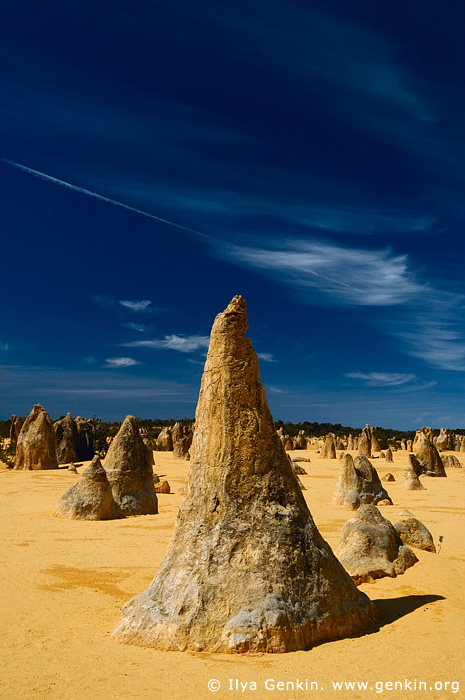 landscapes stock photography | The Pinnacles at Nambung National Park, Western Australia (WA), Australia, Image ID AU-WA-PINNACLES-0008