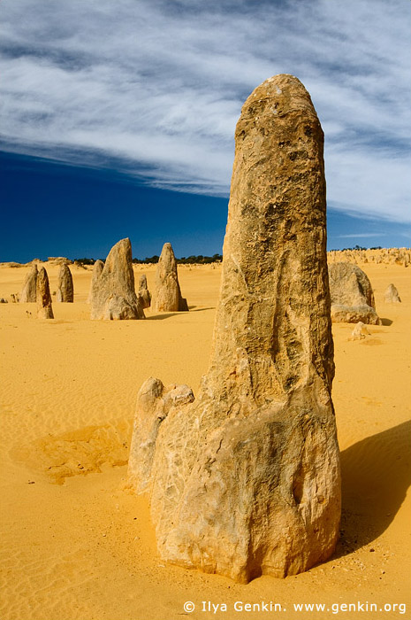 The Pinnacles at Nambung National Park, Western Australia (WA), Australia