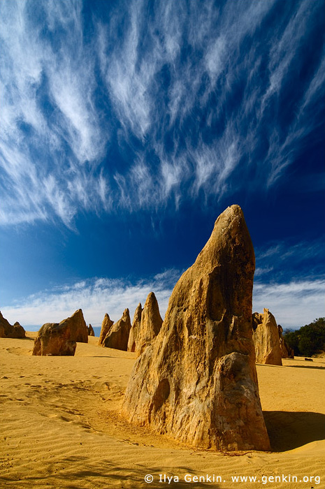 landscapes stock photography | The Pinnacles at Nambung National Park, Western Australia (WA), Australia, Image ID AU-WA-PINNACLES-0020