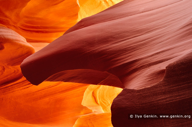 landscapes stock photography | Head of the Eagle, Lower Antelope Canyon, Navajo Tribal Park, Page, Arizona, USA, Image ID US-ARIZONA-ANTELOPE-CANYON-0006