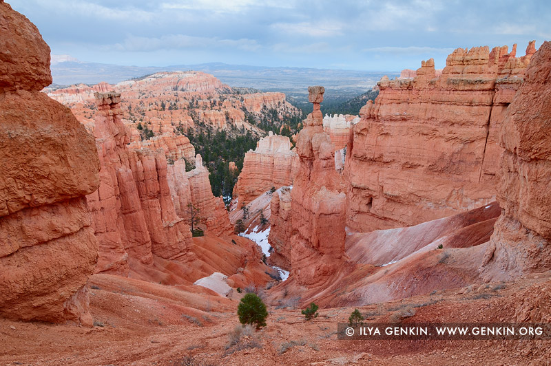 landscapes stock photography | Thor's Hammer at Twilight, Sunset Point, Bryce Canyon National Park, Utah, USA, Image ID US-BRYCE-CANYON-0013