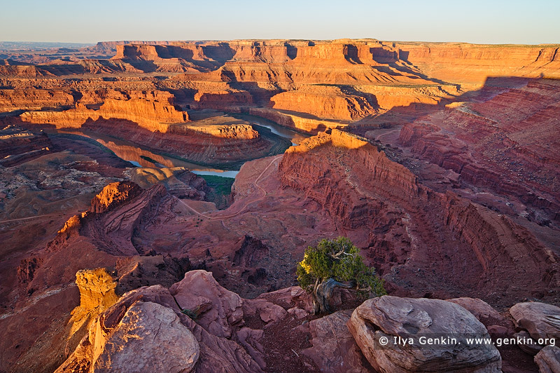 landscapes stock photography | Colorado River and Canyonlands From Dead Horse Point Overlook, Dead Horse Point State Park, Utah, USA, Image ID DEAD-HORSE-POINT-STATE-PARK-UTAH-USA-0002