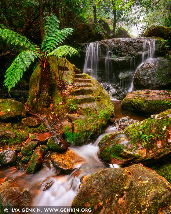 landscapes stock photography | Weeping Rock, Leura, Blue Mountains National Park, New South Wales (NSW), Australia, Image ID AU-NSW-BM-LEURA-WEEPING-ROCK-0001