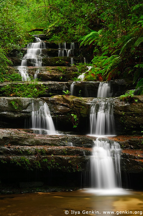 landscapes stock photography | The Terrace Falls, Hazelbrook, Blue Mountains, NSW, Australia, Image ID AU-NSW-BM-TERRACE-FALLS-0001