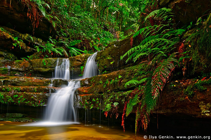 landscapes stock photography | The Terrace Falls, Hazelbrook, Blue Mountains, NSW, Australia, Image ID AU-NSW-BM-TERRACE-FALLS-0002