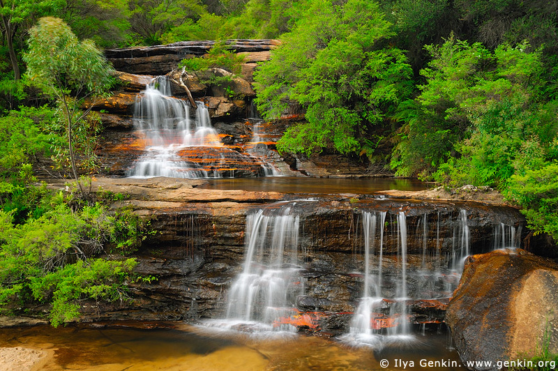 landscapes stock photography | Queen's Cascades, Wentworth Falls, Blue Mountains National Park, NSW, Australia, Image ID AU-NSW-BM-WENTWORTH-FALLS-0001