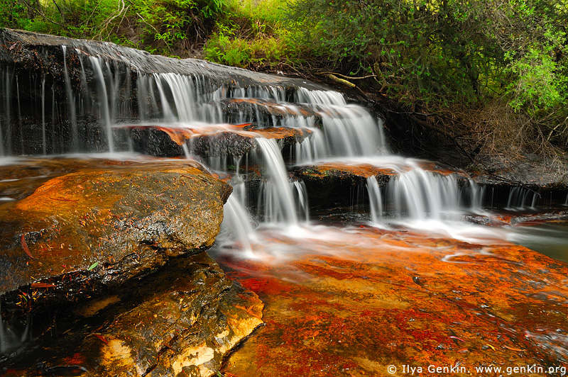 landscapes stock photography | Yosemite Creek, Katoomba, Blue Mountains National Park, NSW, Australia, Image ID AU-NSW-BM-YOSEMITE-CREEK-0001